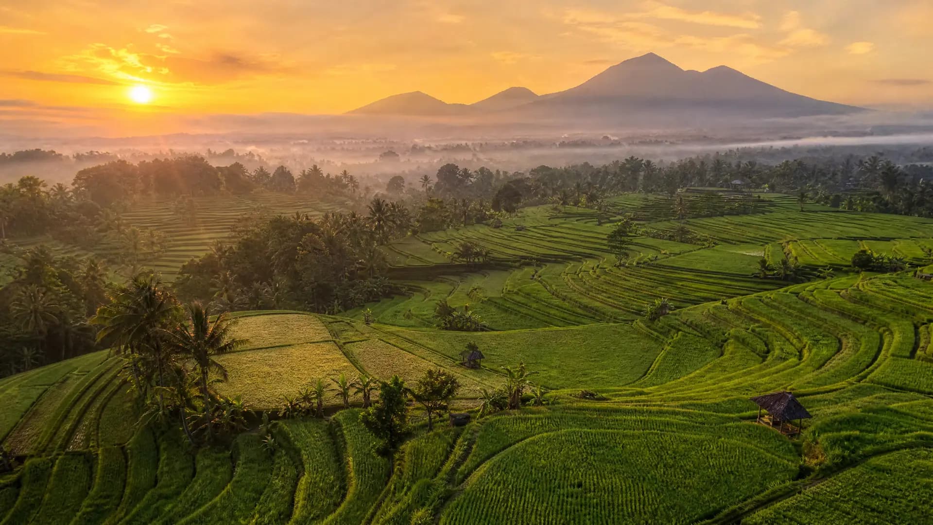 Yoga Retreats in Bali: The Complete Guide for First-Timers
