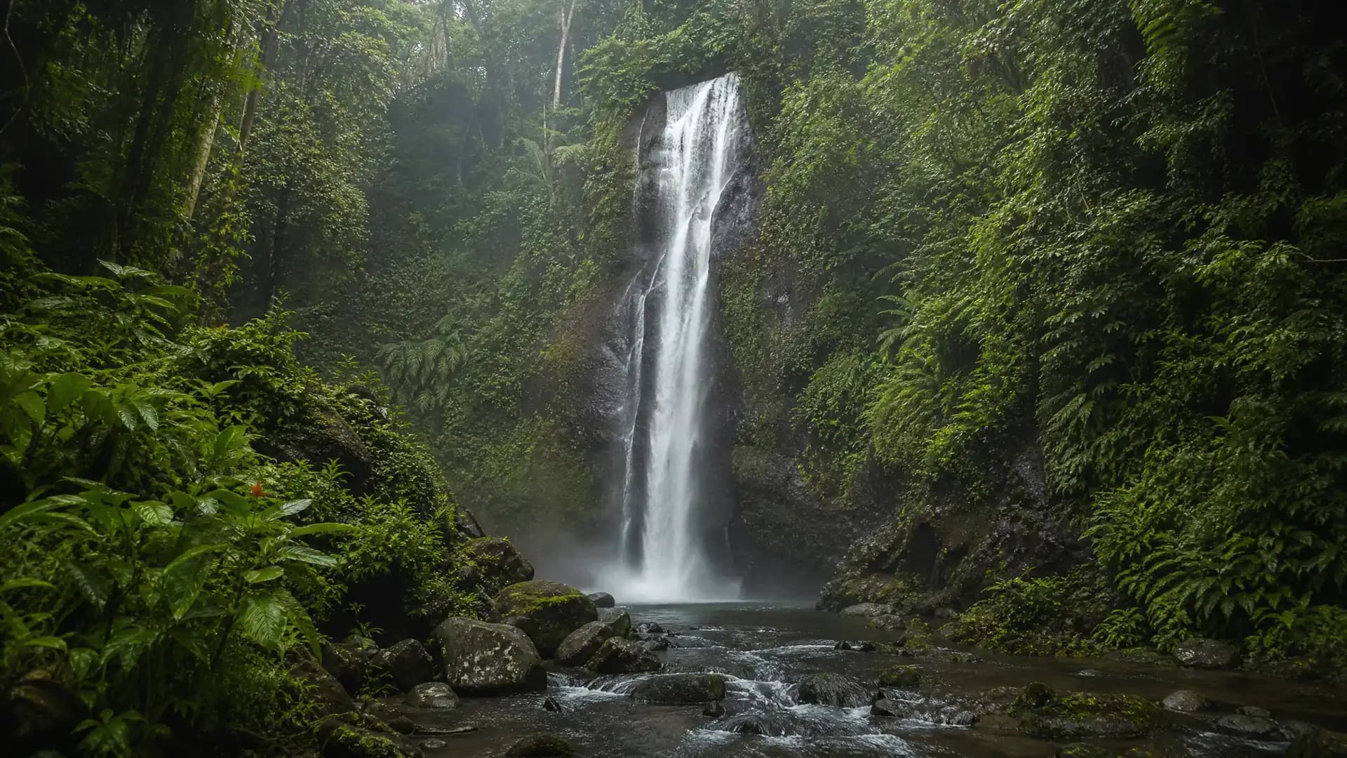 North Bali vs South Bali: Where Should Your Retreat Be?