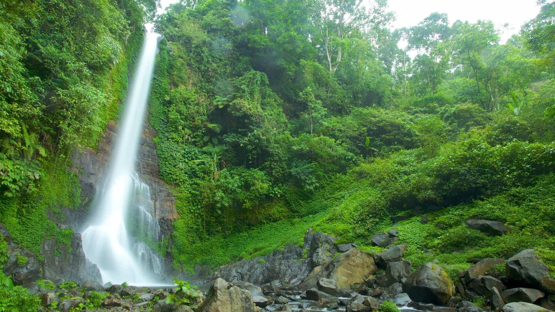 North Bali waterfall in lush jungle near the Retreat sanctuary