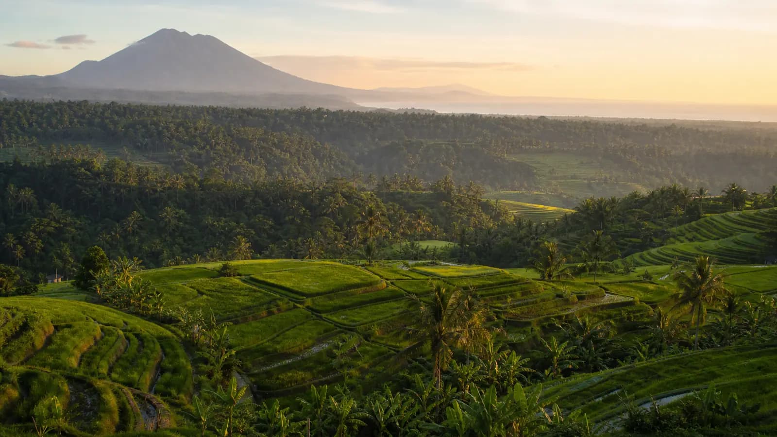 North Bali vs. Ubud vs. Canggu: Where to Retreat for What North Bali vs. Ubud vs. Canggu: Where to Retreat for What