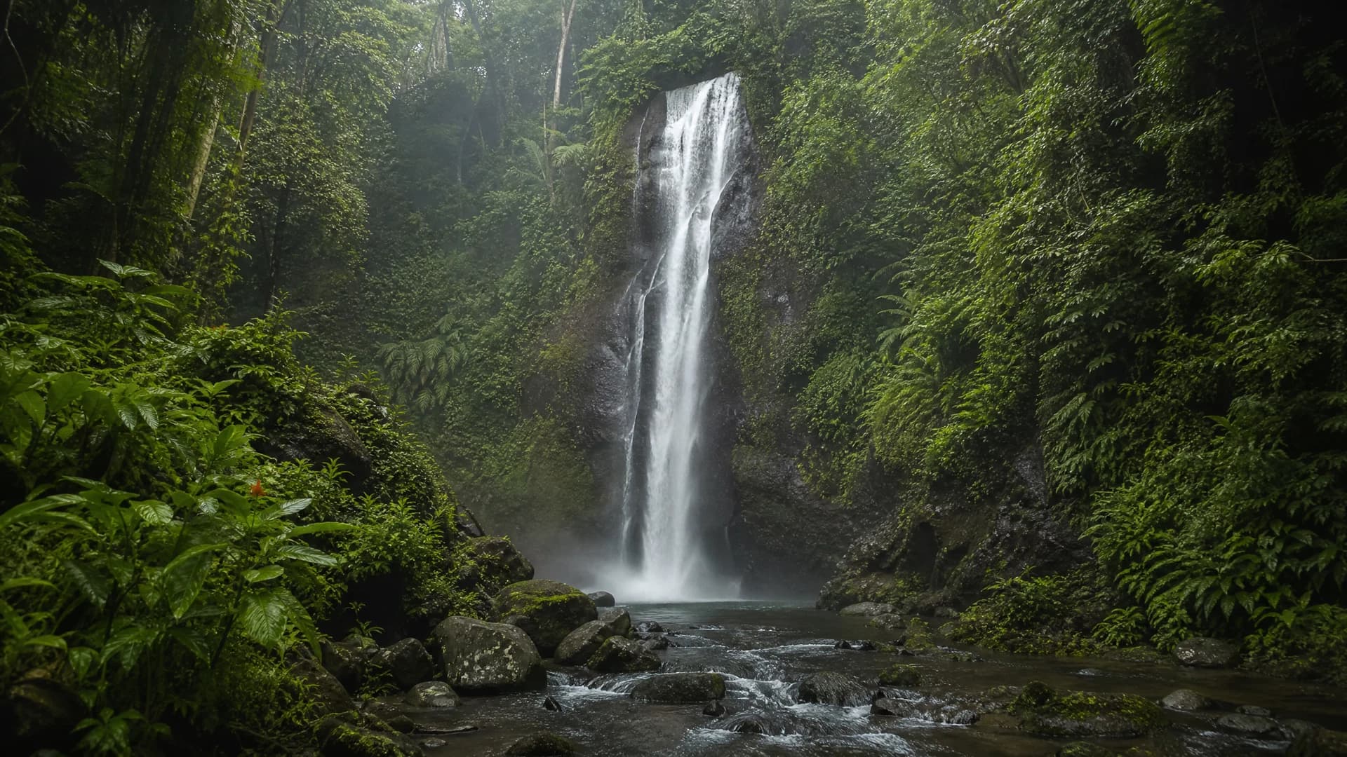 North Bali vs South Bali: Where Should Your Retreat Be? North Bali vs South Bali: Where Should Your Retreat Be?