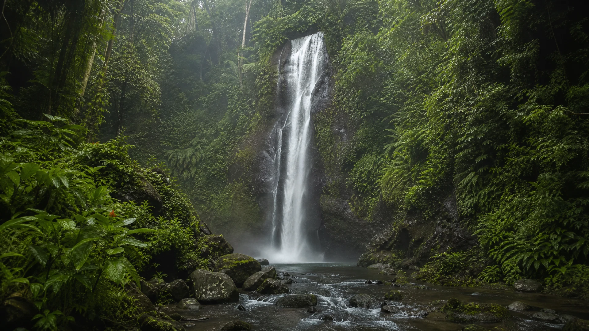 North Bali vs South Bali: Where Should Your Retreat Be?